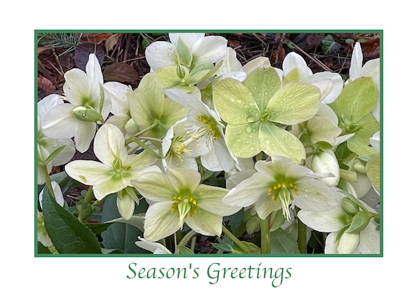 Christmas Card 2022 Kelvin TOP-SET_Page_1